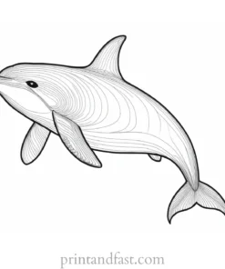 orca coloring page black and white