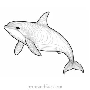 orca coloring page black and white