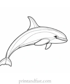 orca coloring page cartoon