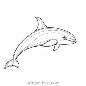 orca coloring page cartoon