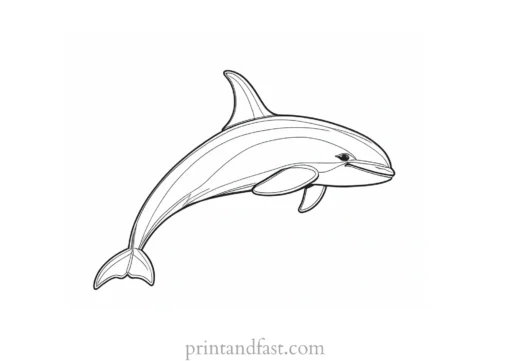 orca coloring page cartoon