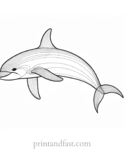 orca coloring page cute