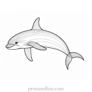 orca coloring page cute