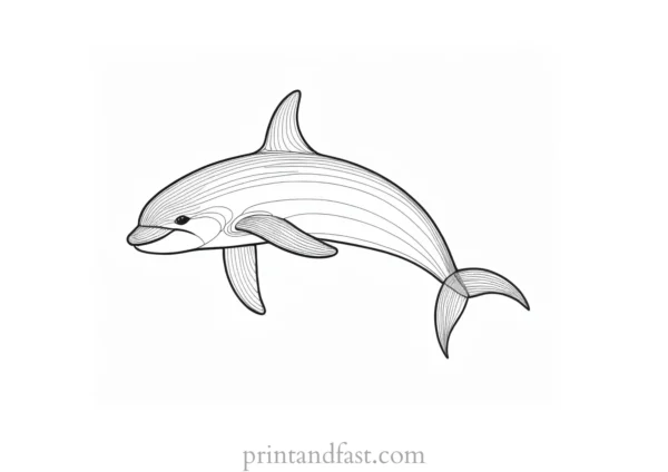 orca coloring page cute