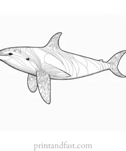 orca coloring page detailed 1