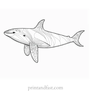 orca coloring page detailed 1