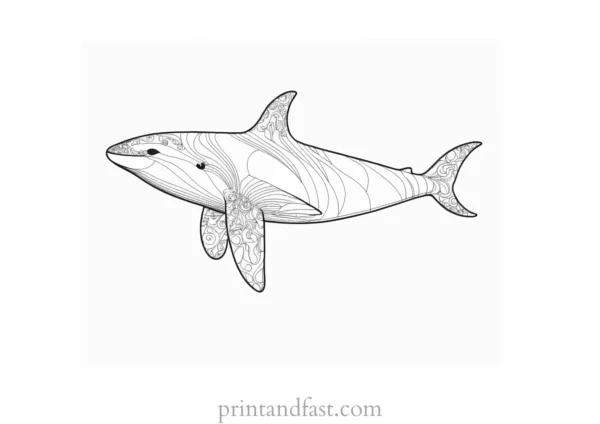 orca coloring page detailed 1