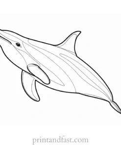 orca coloring page easy