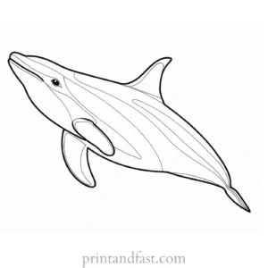 orca coloring page easy