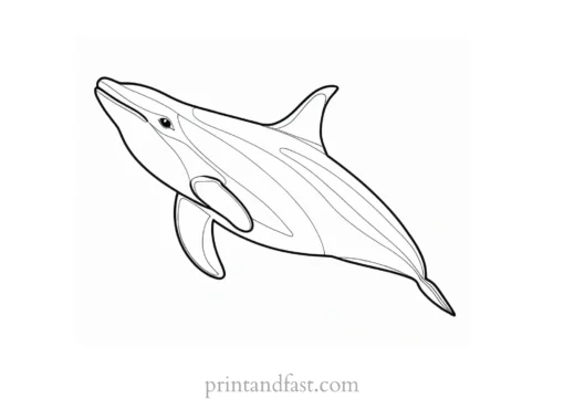 orca coloring page easy