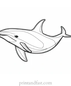 orca coloring page for adults