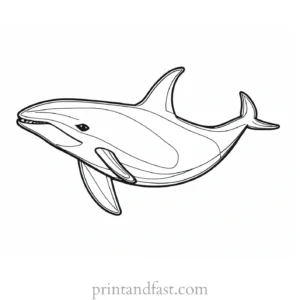 orca coloring page for adults