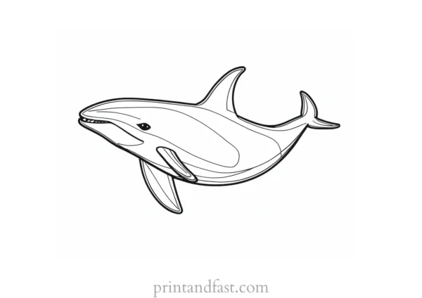 orca coloring page for adults