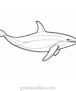 orca coloring page for kids