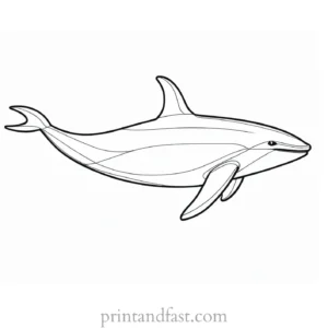 orca coloring page for kids