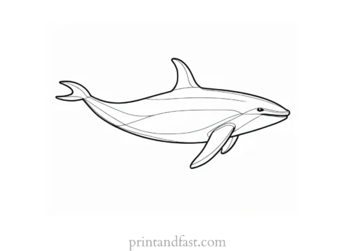 orca coloring page for kids