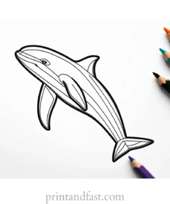 orca coloring page for preschoolers