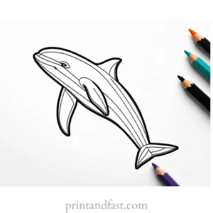 orca coloring page for preschoolers