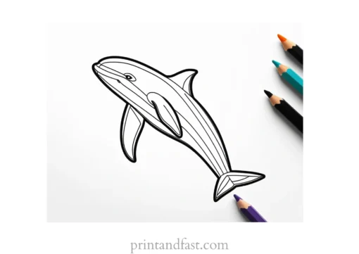 orca coloring page for preschoolers