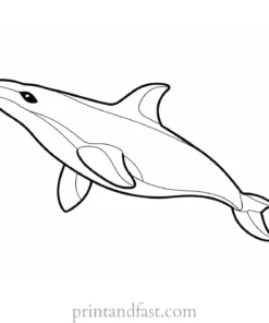 orca coloring page for toddlers