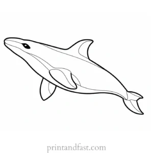 orca coloring page for toddlers