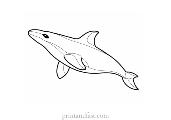 orca coloring page for toddlers