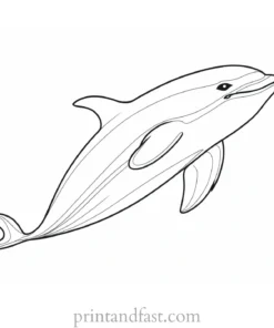 orca coloring page free