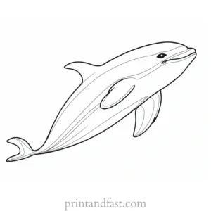 orca coloring page free