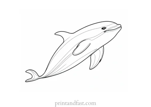 orca coloring page free