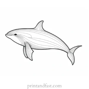 orca coloring page fun