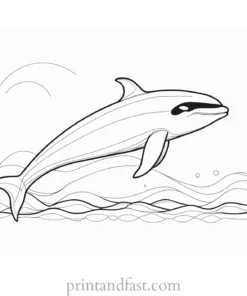 orca coloring page ocean