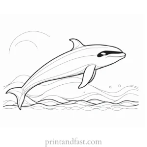 orca coloring page ocean