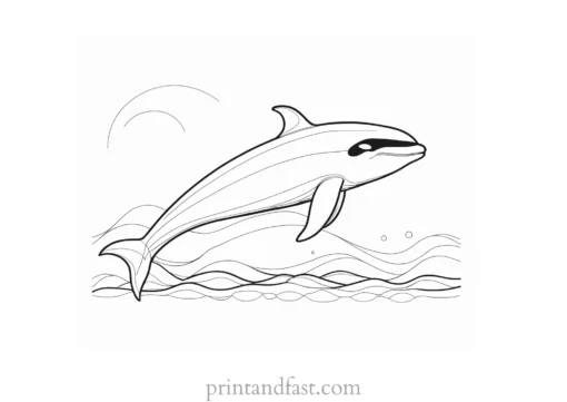 orca coloring page ocean