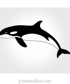 orca coloring page outline