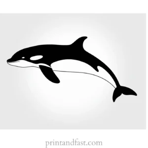 orca coloring page outline