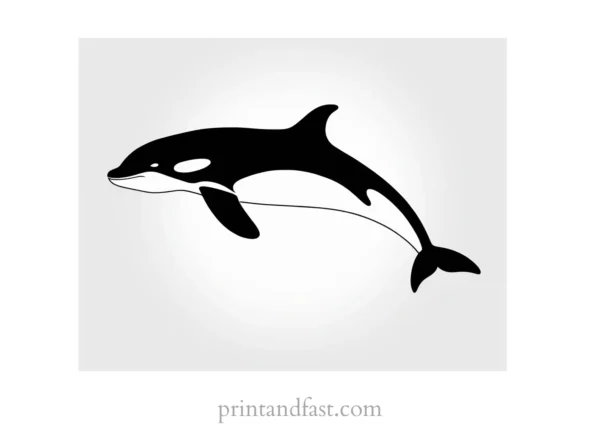 orca coloring page outline