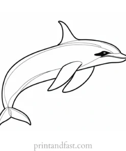 orca coloring page printable