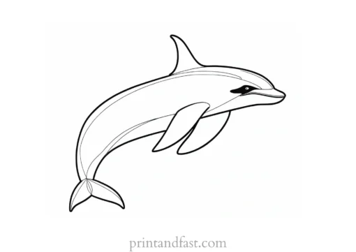 orca coloring page printable