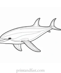 orca coloring page realistic