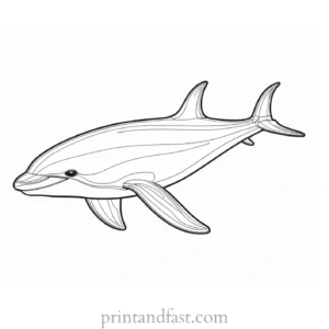 orca coloring page realistic