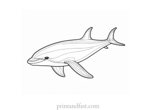 orca coloring page realistic