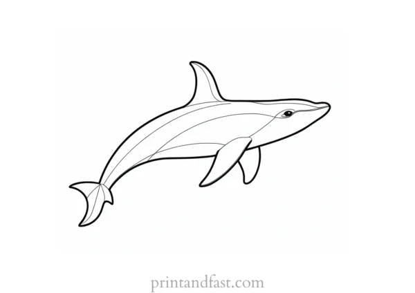 orca coloring page simple