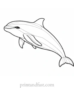 orca coloring page sketch