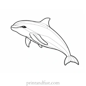 orca coloring page sketch