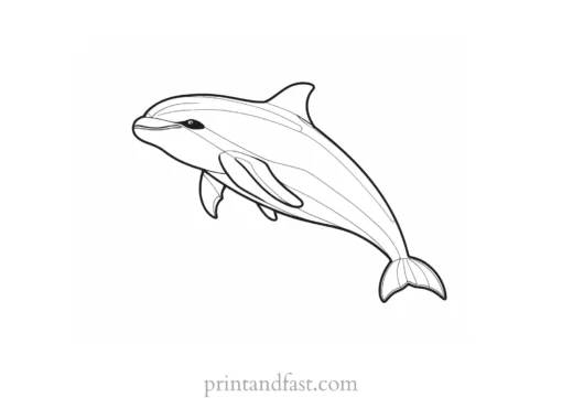 orca coloring page sketch