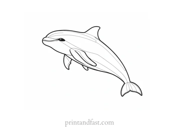 orca coloring page sketch