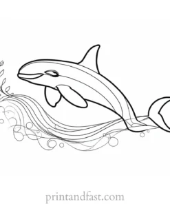 orca coloring page spring