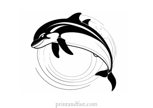 orca coloring page summer