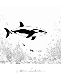 orca coloring page underwater