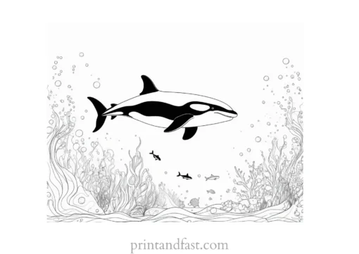 orca coloring page underwater